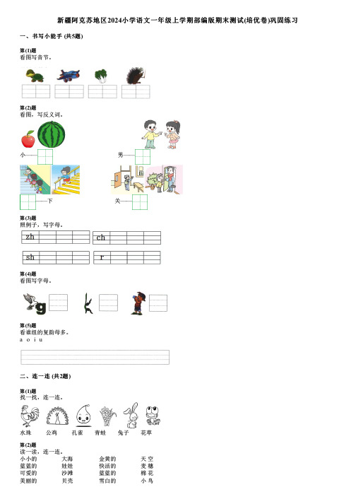 新疆阿克苏地区2024小学语文一年级上学期部编版期末测试(培优卷)巩固练习