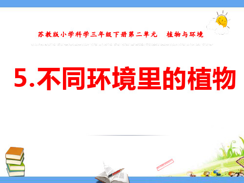 新苏教版三年级科学下册《5.不同环境里的植物》精品PPT优质课件