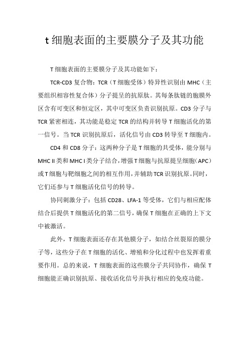 t细胞表面的主要膜分子及其功能