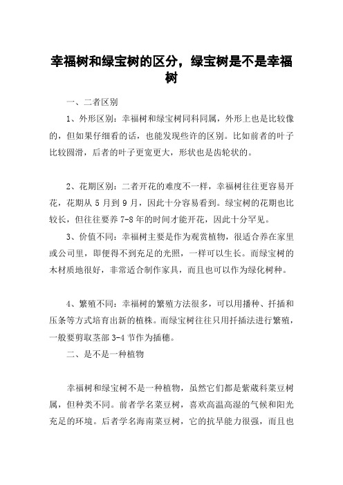 幸福树和绿宝树的区分,绿宝树是不是幸福树