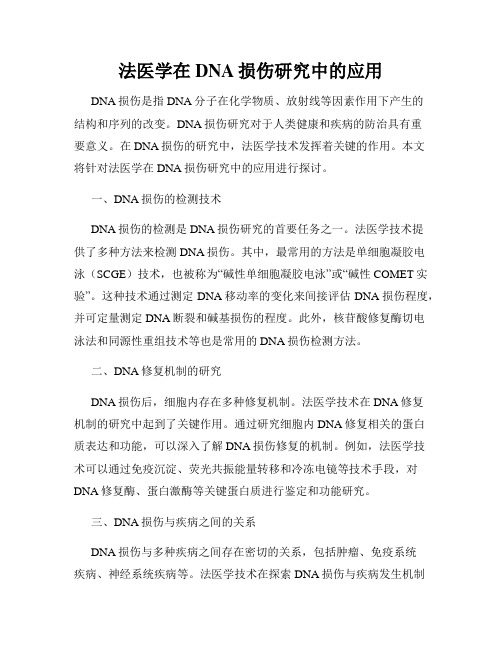 法医学在DNA损伤研究中的应用