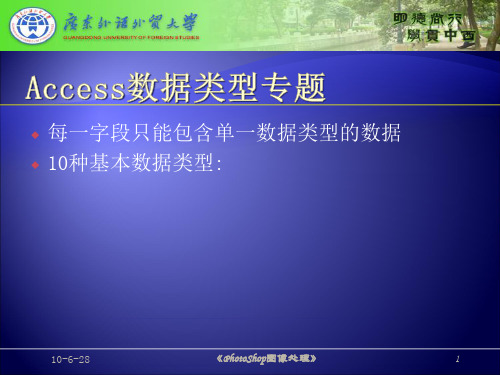 Access数据类型专题