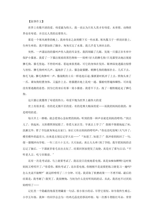 母爱作文500字 3篇精选