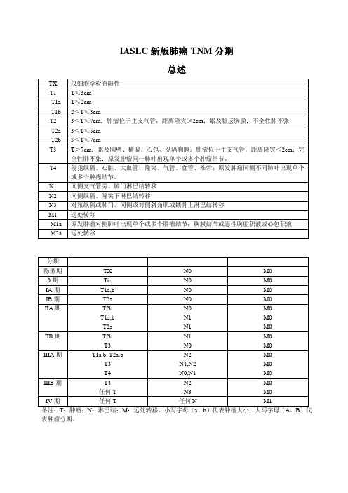 TNM分期