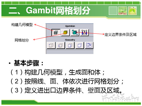 第二章 Gambit划分网格