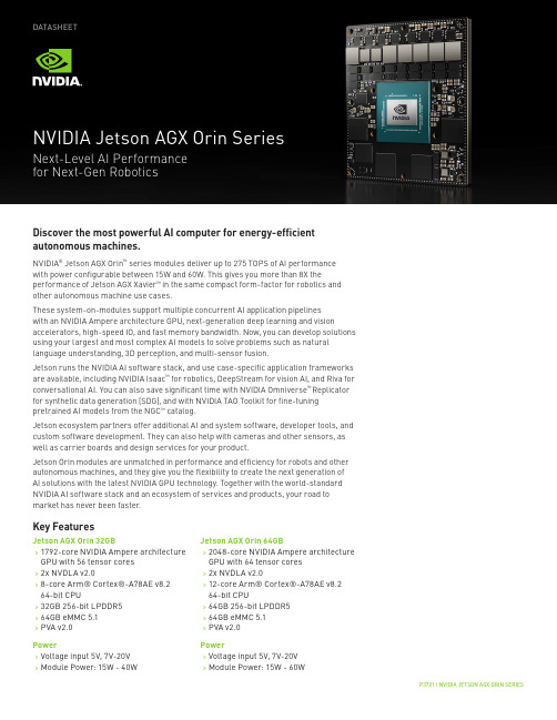 NVIDIA Jetson AGX Orin系列产品数据手册说明书