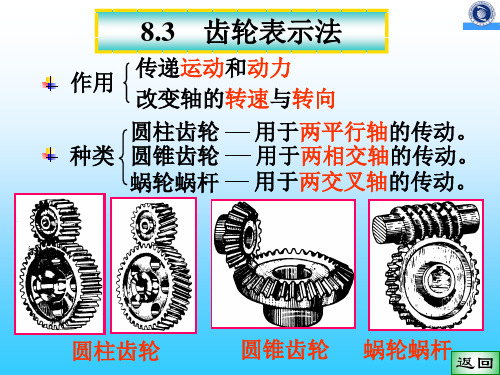 轮齿表示法
