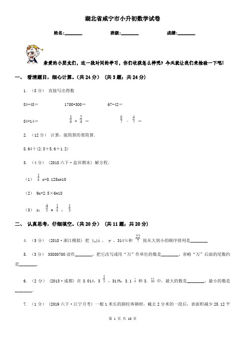 湖北省咸宁市小升初数学试卷