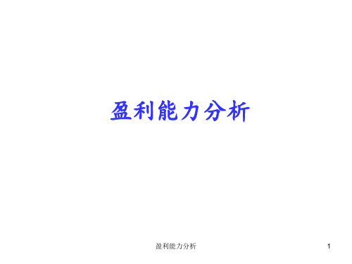 盈利能力分析 ppt课件