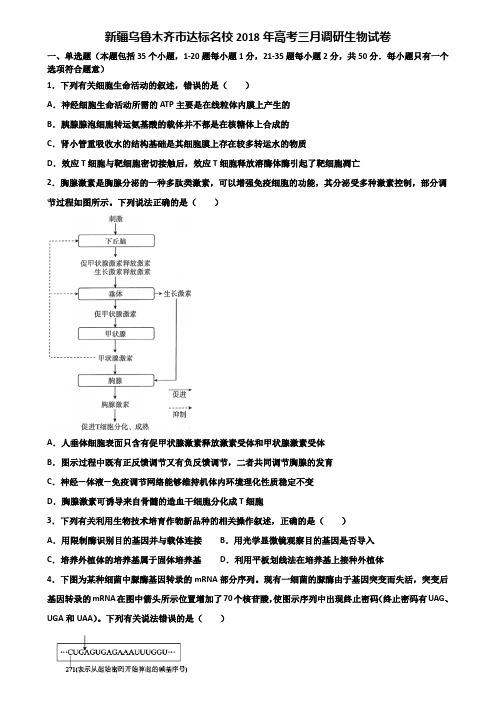 新疆乌鲁木齐市达标名校2018年高考三月调研生物试卷含解析