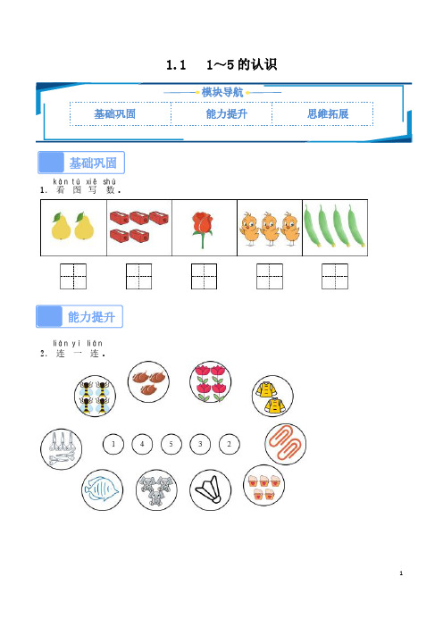 2024秋季版一年级数学上册第一课时1-5的认识提升练