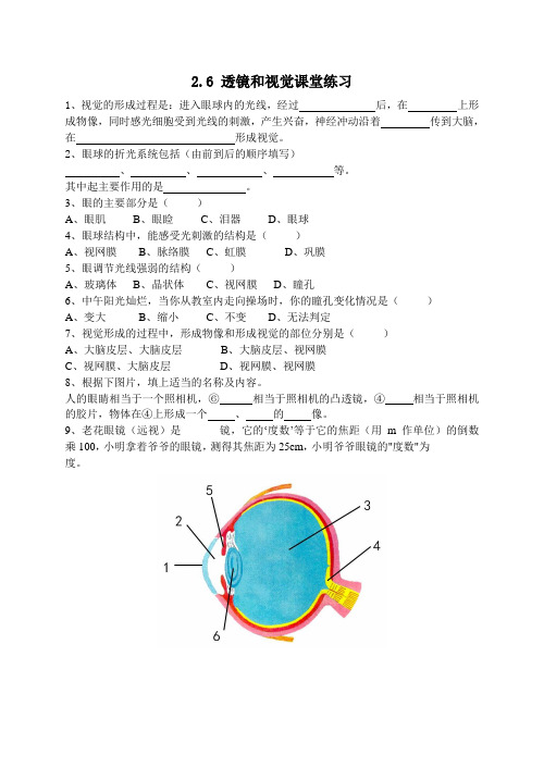 2.6 透镜和视觉第三课时课堂练习(新版)