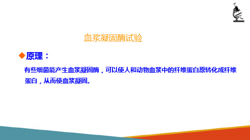 细菌的生化试验—血浆凝固酶试验(微生物检验课件)