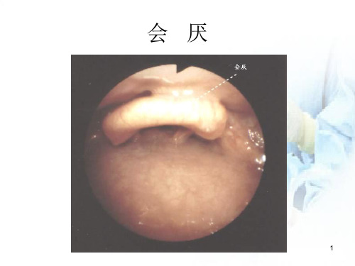 新版纤维支气管镜图谱