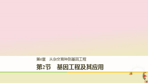 高中生物 第六章 从杂交育种到基因工程 第2节 基因工程及其应用课件 新人教版必修2