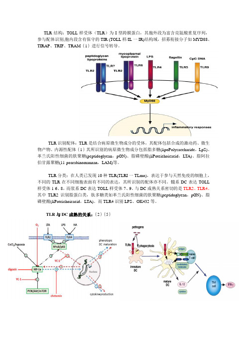 TOLL样受体