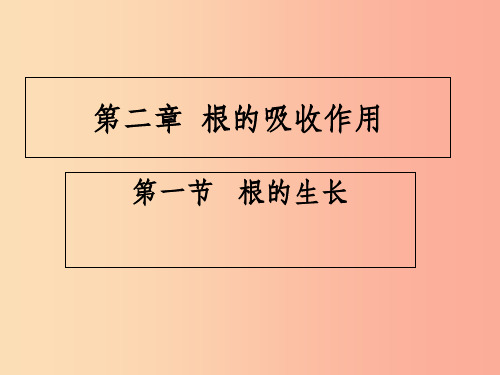 八年级生物上册 第三单元 第二章 第一节 根的生长课件 (新版)冀教版