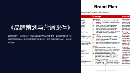 《品牌策划与营销课件》