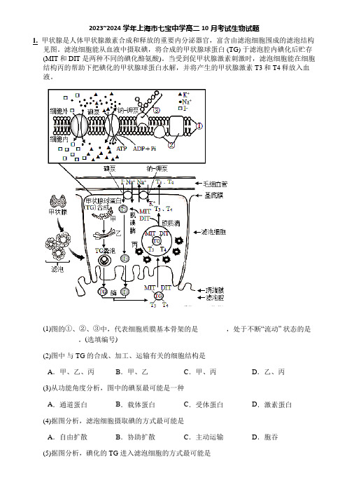 2023~2024学年上海市七宝中学高二10月考试生物试题