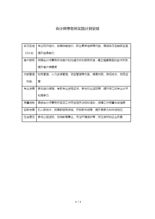 会计师事务所实践计划安排