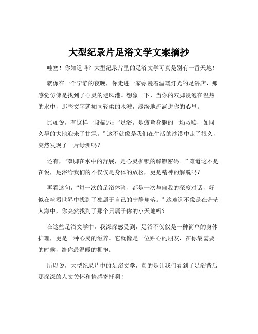 大型纪录片足浴文学文案摘抄