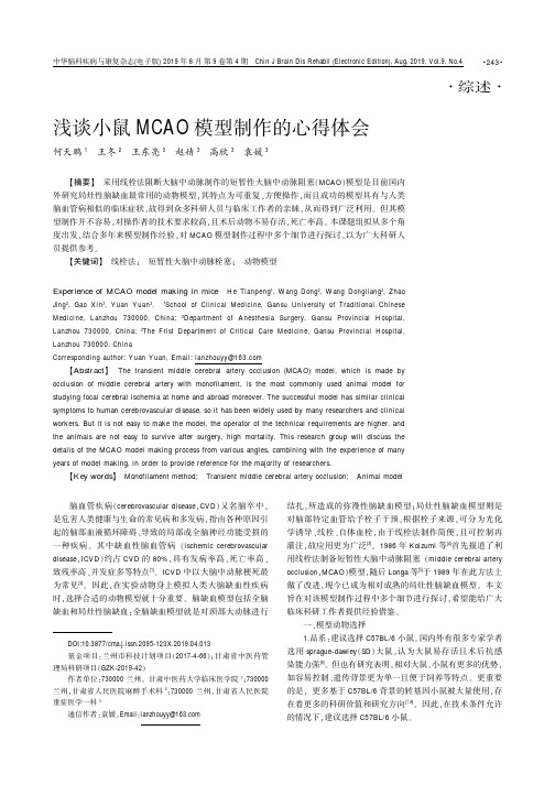 浅谈小鼠mcao模型制作的心得体会