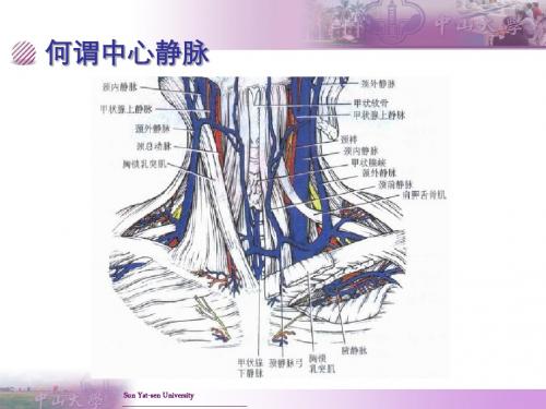 CVC置管与护理