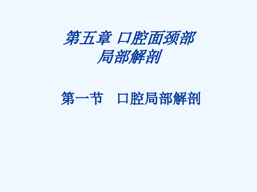 口腔局部解剖、面部局部解剖