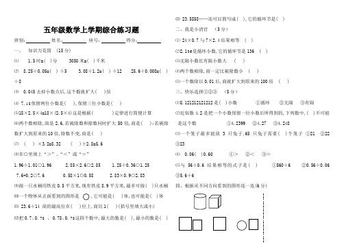 五年级数学上学期综合练习题[人教版]