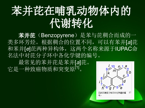 苯并芘在哺乳动物体内的代谢汇编