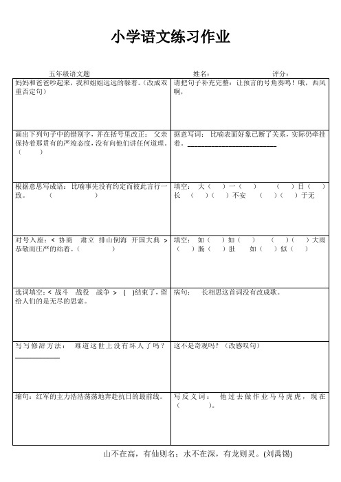 小学五年级语文精题选做III (11)