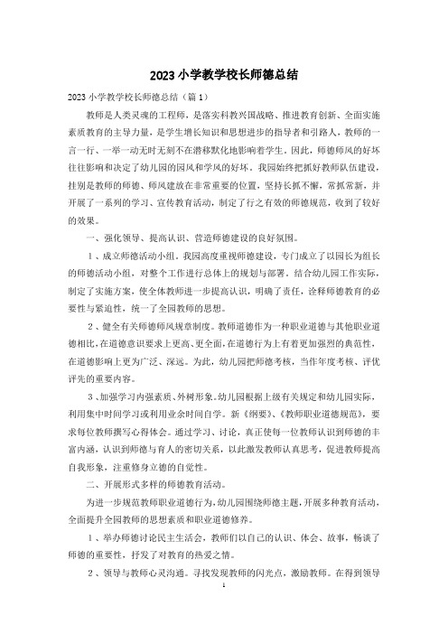 2023小学教学校长师德总结