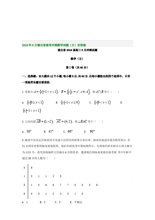 2018年5月湖北省高考冲刺数学试题(文)含答案