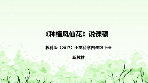 教科版(2017)小学科学四年下册《种植凤仙花》说课(附反思、板书)课件