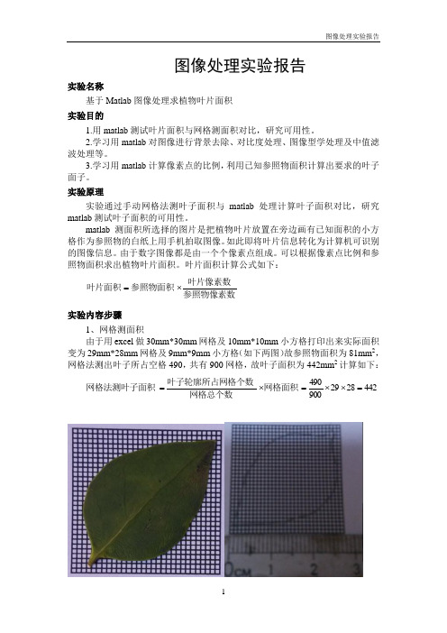 基于Matlab图像处理求植物叶片面积