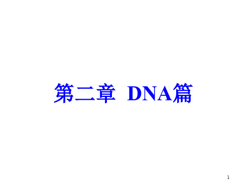 分子生物学_ DNA篇_25 DNA的高级结构_