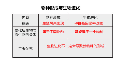 协同进化与生物多样性的形成课件-高一下学期生物人教版(2019)必修2