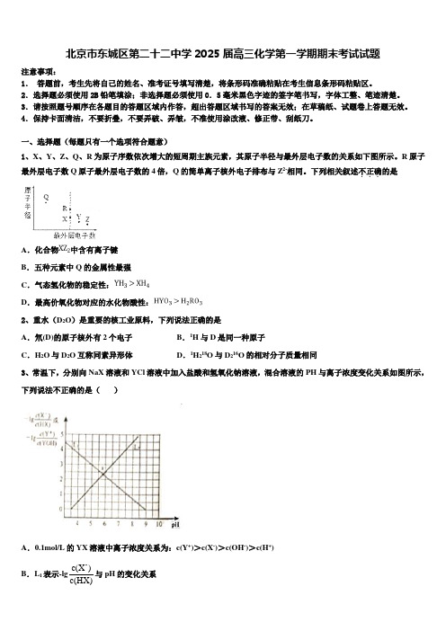 北京市东城区第二十二中学2025届高三化学第一学期期末考试试题含解析