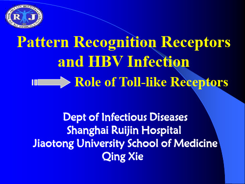 模式识别受体与乙肝病毒感染(英文版)30页PPT