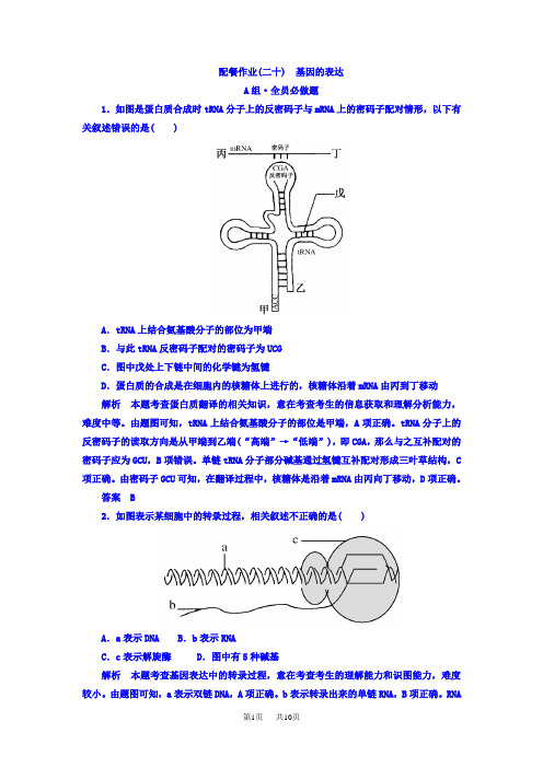 高考生物大一轮复习配餐作业20 含答案