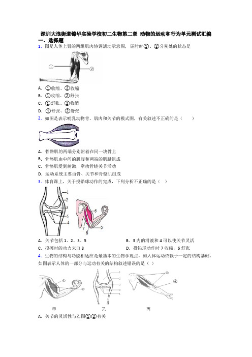 深圳大浪街道锦华实验学校初二生物第二章 动物的运动和行为单元测试汇编