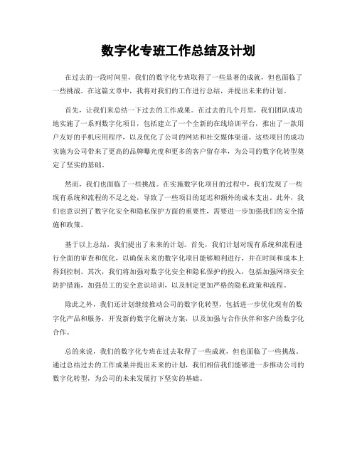 数字化专班工作总结及计划