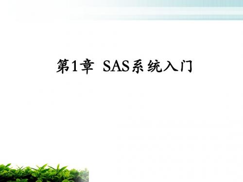 SAS系统入门