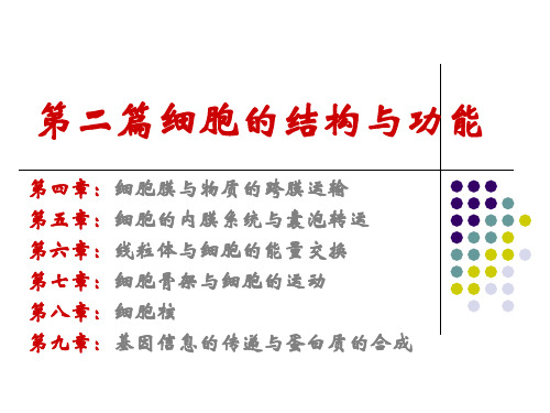 医学细胞生物学：4 细胞膜与物质的跨膜运输