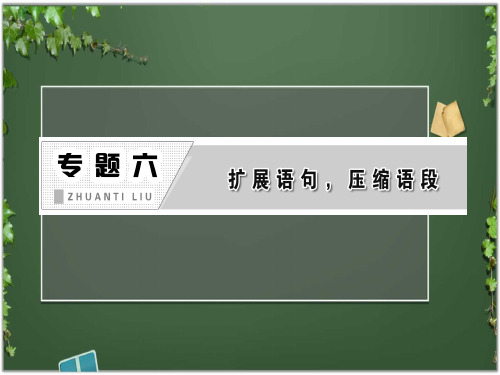 2013年高考语文总复习重点精品课件：扩展语句,压缩语段