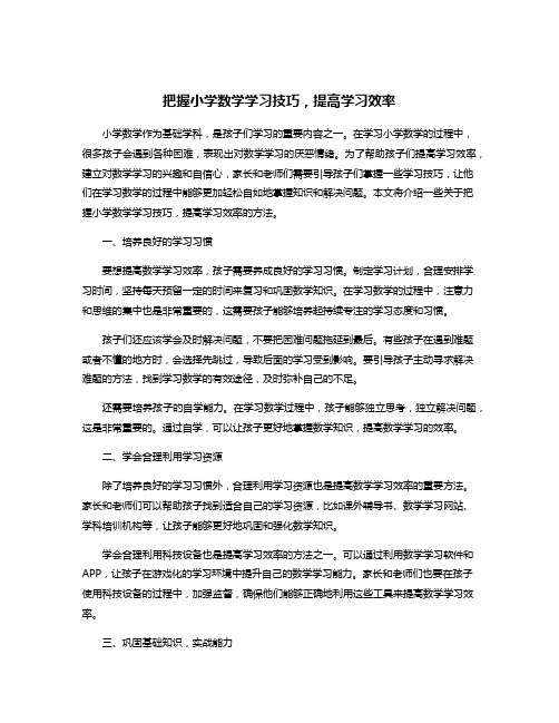 把握小学数学学习技巧,提高学习效率