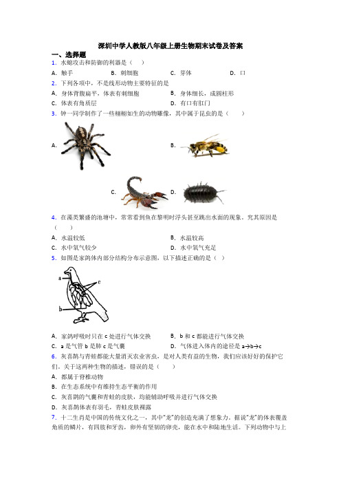 深圳中学人教版八年级上册生物期末试卷及答案