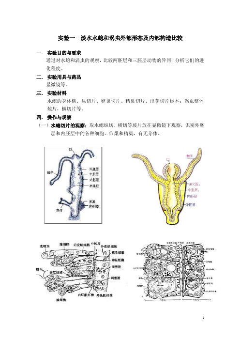 动物学实验——精选推荐