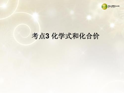 广东省河源市中英文实验学校中考化学考点复习3 化学式和化合价课件