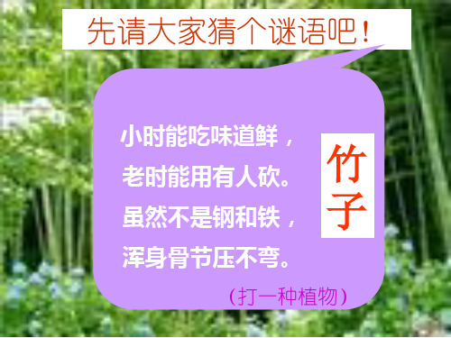 s版语文二年级(下册)2、《笋芽儿》
